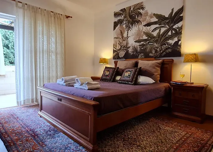 Apartment T3 - Frei Joao - Pleasant And Cozy
