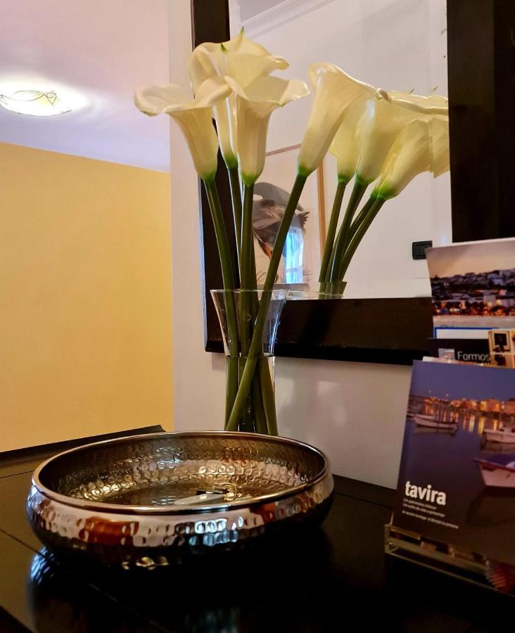T3 - Frei Joao - Pleasant And Cozy *