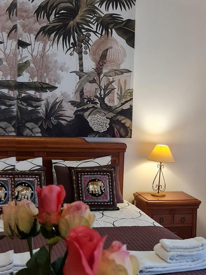 T3 - Frei Joao - Pleasant And Cozy *